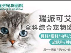 -瑞派宠物医院·犬猫全科·猫友好(宾水西道店)