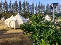 -前小桔亲子创意农场·草莓采摘·露营烧烤