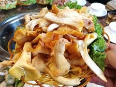 -菌海森林·非遗野生菌火锅(西山区滇池路摩根道店)
