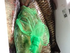 -元祖食品GANSO(常州新北区店)