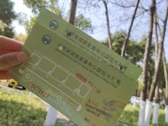 -合肥滨湖国家森林公园