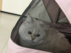 -美联众合动物医院·24h京西诊疗中心