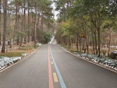 -南京老山国家森林公园