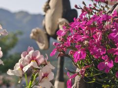 -崂山九水游览区