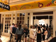 -拉斯维加斯永利酒店