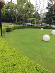 -虹桥迎宾馆·宴会厅