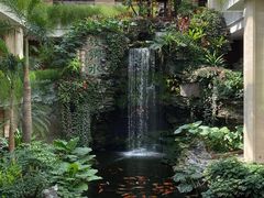 -白天鹅宾馆-宏图府餐厅