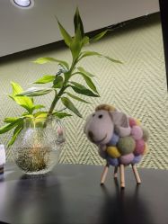 -BRANS PORO布朗斯伯勒西装高级定制·瑞璞西装(金陵店)