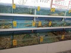 水产区-双海酒店·海鲜家常菜(南戴河店)