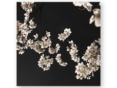 -杭州文化广播电视集团