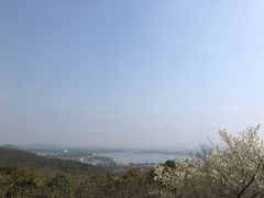 -香雪海