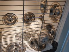 -佳雯宠物医院(金华南路分院)