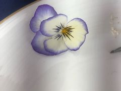 -诺莱仕游艇会