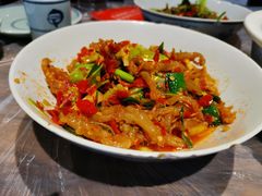 鸭掌筋-壹盏灯(惠农店)