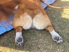 -栖露营camping·天幕烧烤·团建拓展·采摘营地