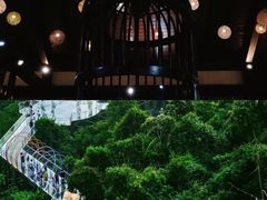 -亚龙湾国际玫瑰谷