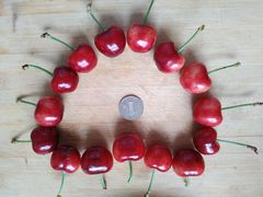 -皇家美孚·蛋糕外送(东部佳世客店)