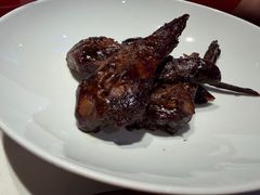 -杨氏青龙虾·羊蝎子(托乐嘉店)