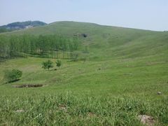 -恋山坝上草原