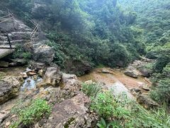 -南海湾森林生态园