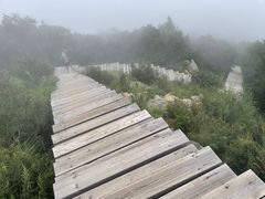 -白草畔自然风景区