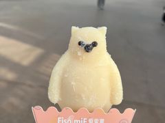 -上海海昌海洋公园
