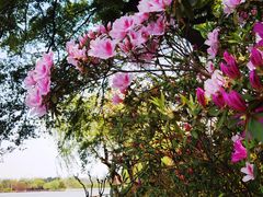 -南京珍珠泉风景区