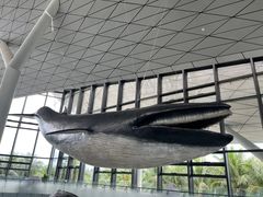 -中国（海南）南海博物馆