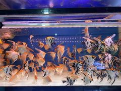 -华声天桥民俗文化园