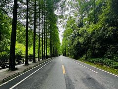 -青城山