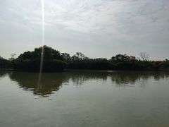 -大湾区中央湿地公园