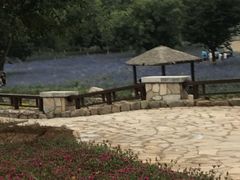 -静之湖湖畔餐厅