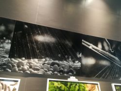 -太湖雪蚕桑文化园