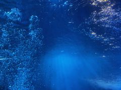 -太平洋海底世界