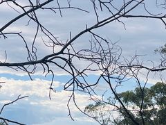 -悉尼蓝山三姐妹峰