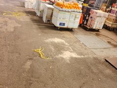 -油麻地果栏