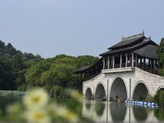 -长广溪湿地公园
