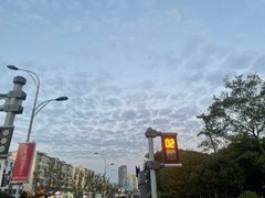 -滆湖低碳生态公园