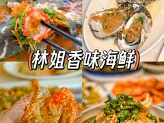-亚龙湾热带天堂森林公园