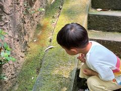 -峨眉山报国寺