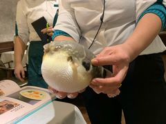 -肆月河豚·新淮扬(金融街店)