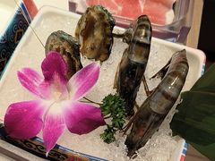 -阿古蒙·传统涮火锅自助(三台子万象汇店)