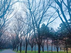 -唐城墙遗址公园