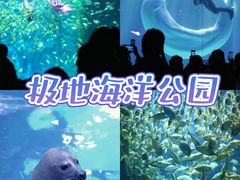 -海合安青岛极地海洋公园