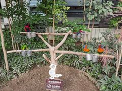 -南宫五洲植物乐园