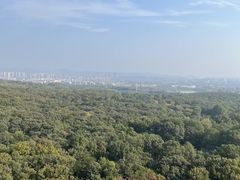 -灵谷景区