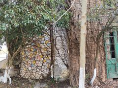 -白塘生态植物园