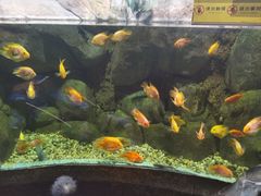 -苏州海洋馆