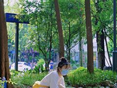 -成都市活水公园