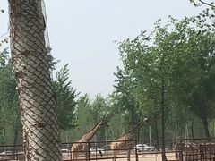 -秦皇岛野生动物园